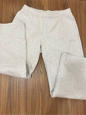 Aritzia Sweatpants